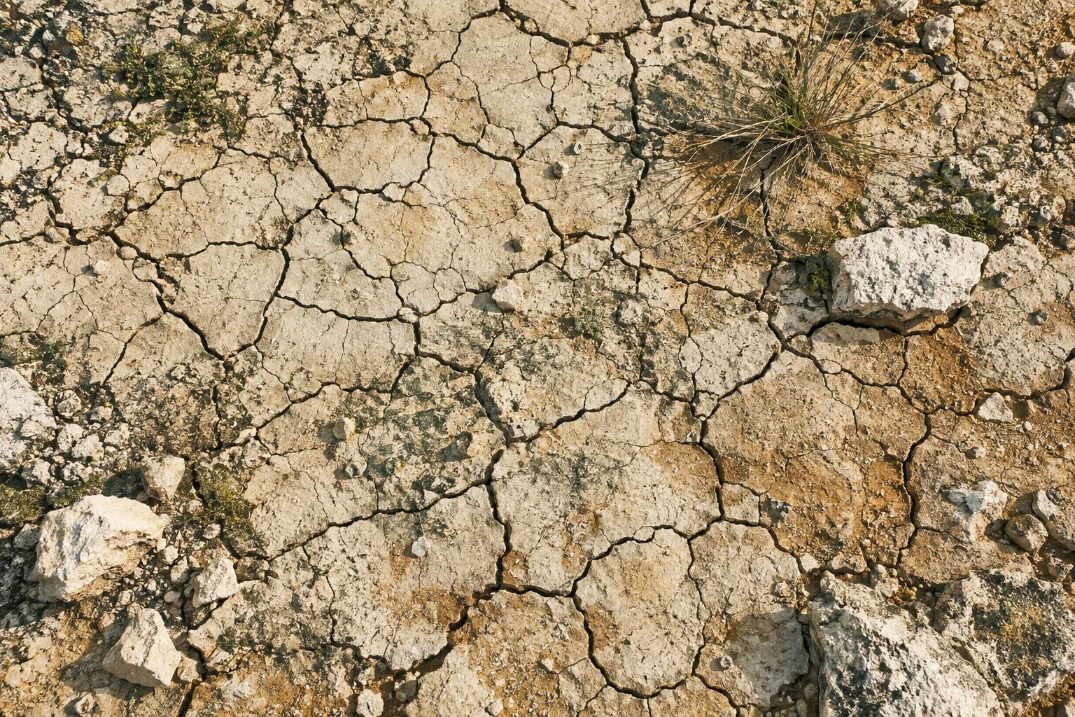 Sol argileux craquele avec cailloux clairs et herbe seche